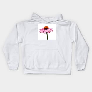 Echinacea Purpurea on White Background Kids Hoodie